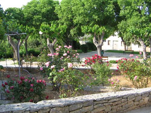 Garden & Park view